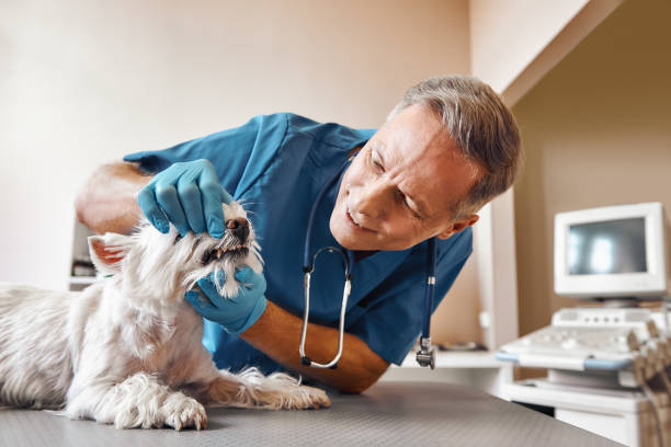 Best Weekend Emergency Dentist in Seaville, NJ